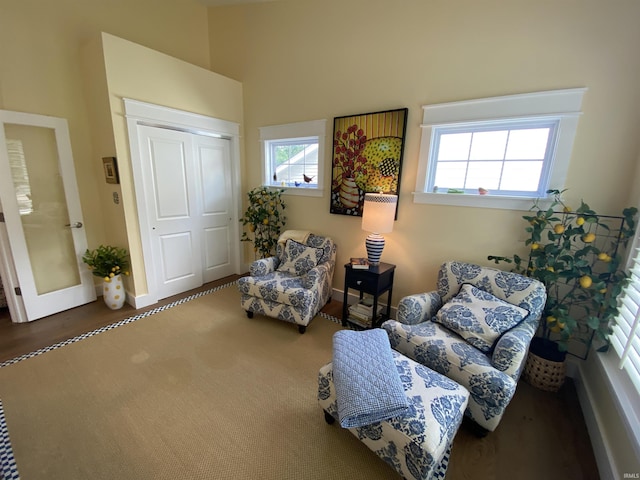 sitting room with dark carpet and a healthy amount of sunlight