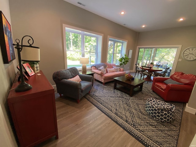 living room with wood-type flooring