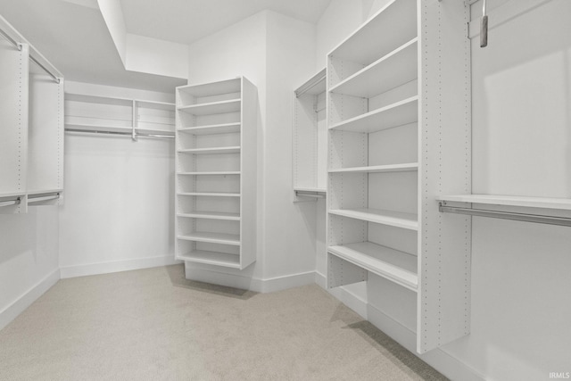 spacious closet featuring light carpet