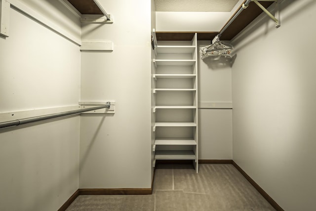 walk in closet featuring carpet flooring