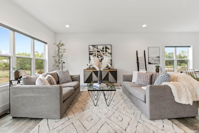 living room featuring a wealth of natural light and light hardwood / wood-style floors