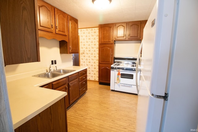 kitchen featuring sink, white appliances, and light hardwood / wood-style flooring