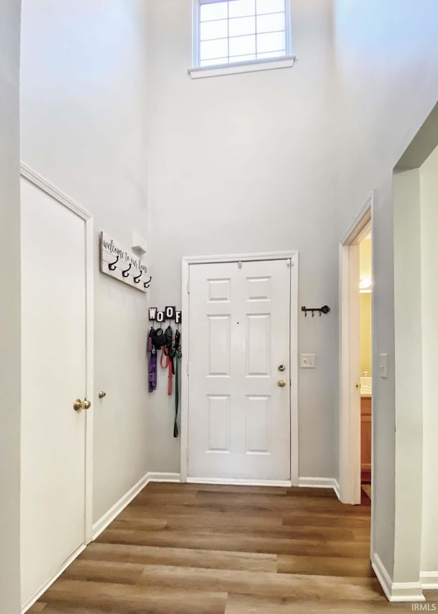 entrance foyer featuring a high ceiling and hardwood / wood-style floors