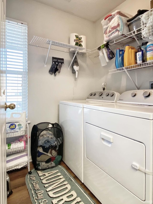 laundry room featuring wood-type flooring and washing machine and clothes dryer