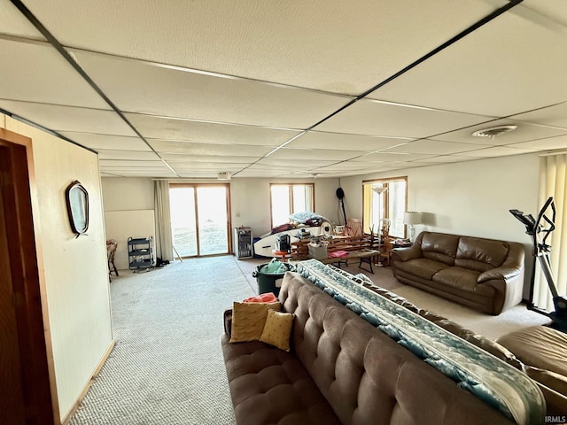 carpeted living room featuring a drop ceiling