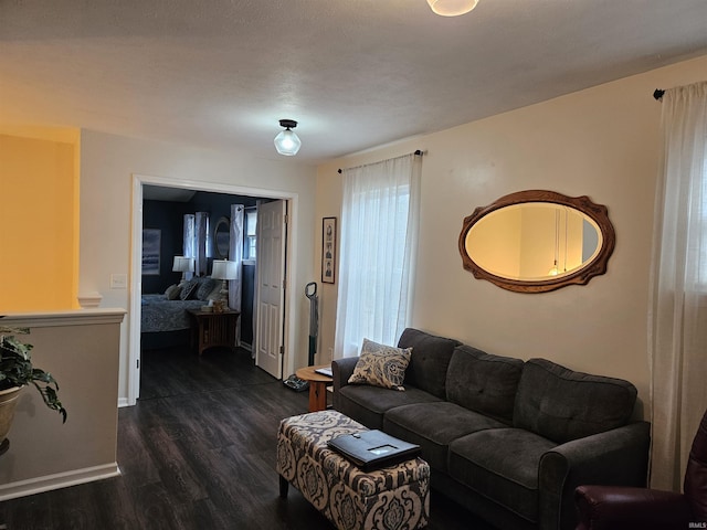 living room featuring dark hardwood / wood-style floors