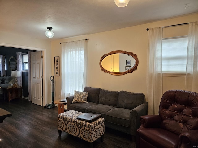 living room with dark hardwood / wood-style flooring