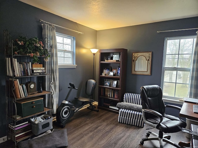 office space featuring hardwood / wood-style floors