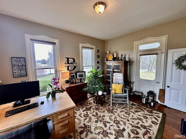 office area featuring dark hardwood / wood-style flooring