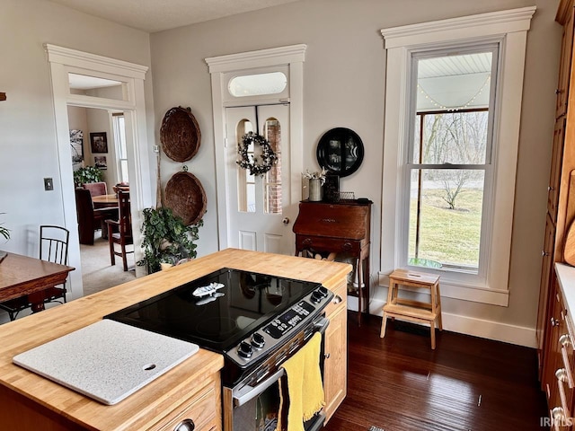 kitchen featuring dark hardwood / wood-style floors, butcher block counters, and black range with electric cooktop