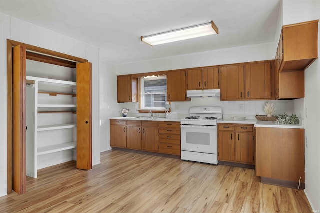 kitchen featuring sink, white gas stove, and light wood-type flooring