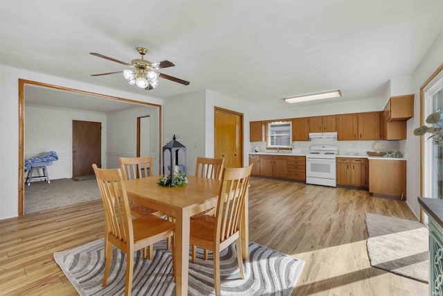 dining space with light hardwood / wood-style floors