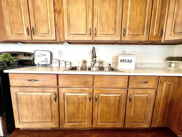 kitchen featuring sink and electric range