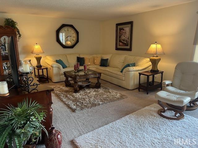 carpeted living room with a textured ceiling