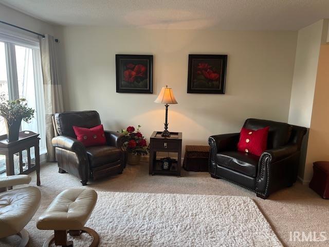 sitting room featuring light carpet and a textured ceiling