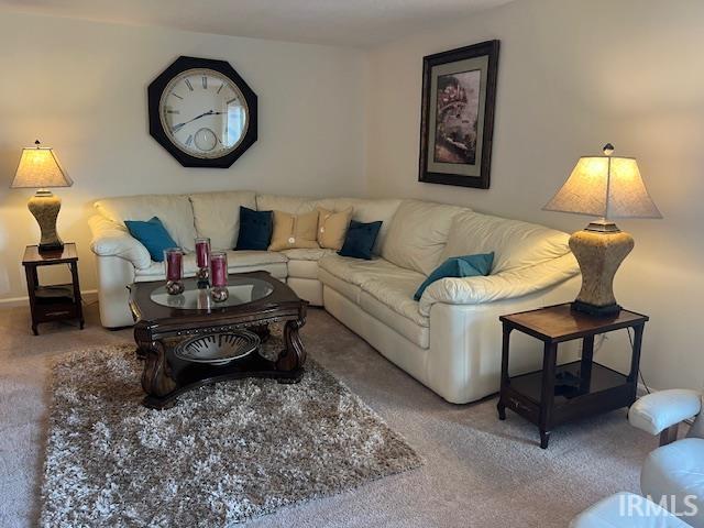 living room featuring carpet flooring