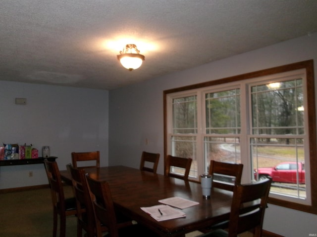 dining room featuring a textured ceiling