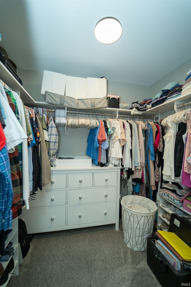 spacious closet featuring dark colored carpet
