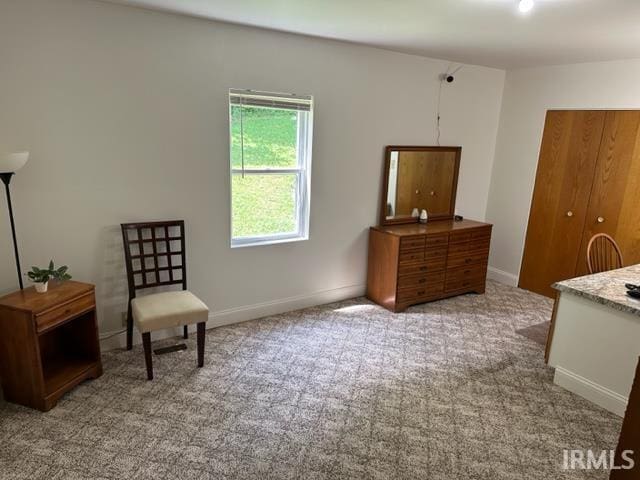 sitting room with light colored carpet