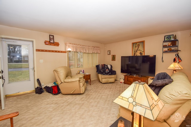 living room featuring carpet flooring