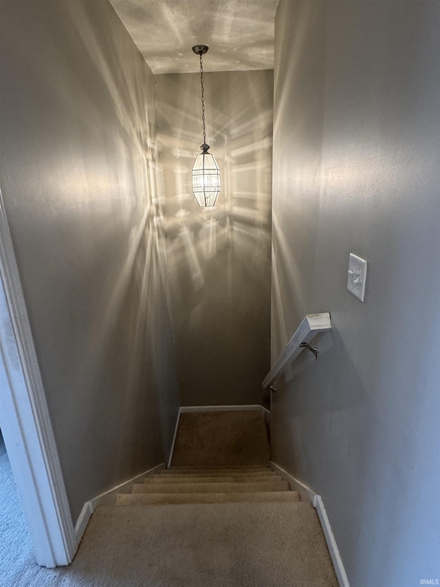 staircase featuring carpet flooring