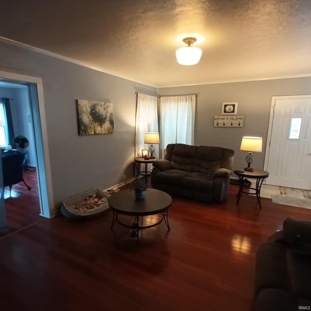 living room featuring crown molding and dark wood-type flooring