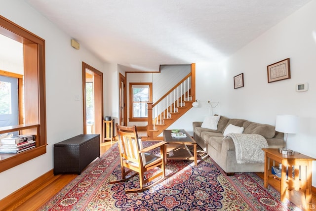 living room with light hardwood / wood-style flooring