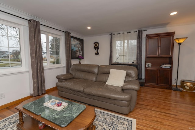 living room with crown molding and light wood-type flooring