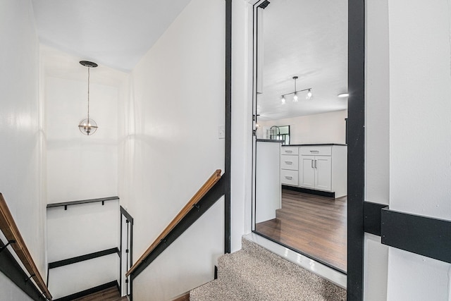 staircase with hardwood / wood-style flooring