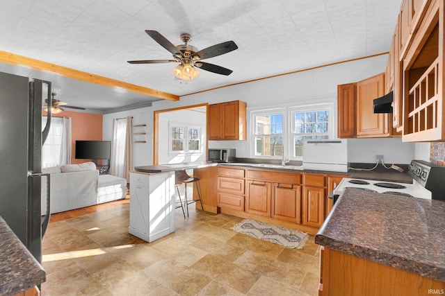 kitchen featuring sink, ceiling fan, black refrigerator, electric range, and ornamental molding