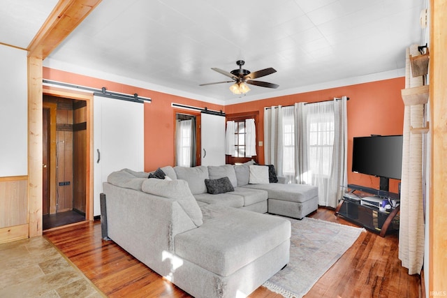 living room with ceiling fan, a barn door, and light wood-type flooring