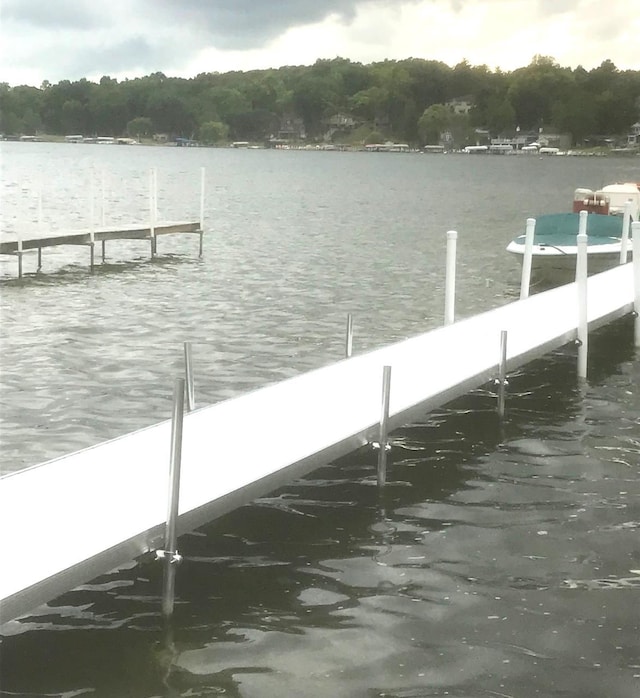 dock area featuring a water view