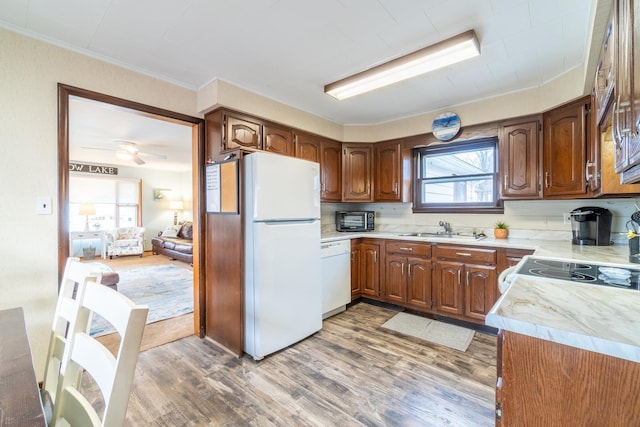 kitchen featuring crown molding, white appliances, dark hardwood / wood-style flooring, and sink