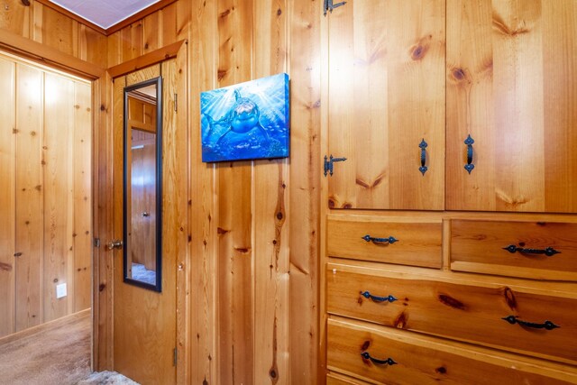 room details featuring carpet flooring and wood walls