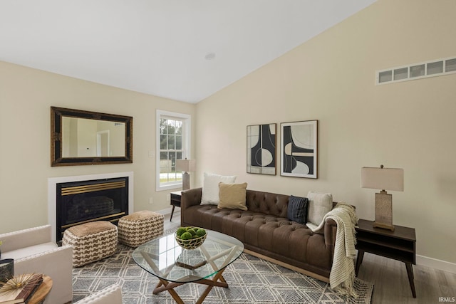 living room featuring lofted ceiling and wood-type flooring