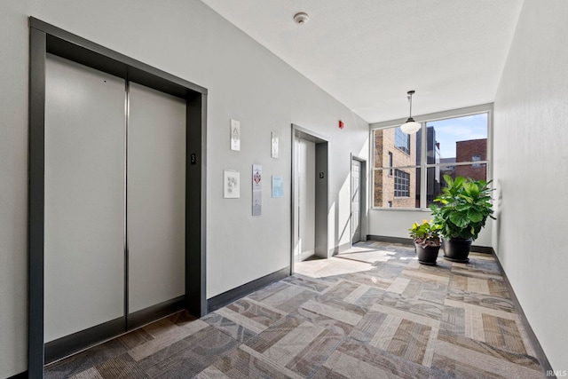 hall featuring carpet flooring and elevator