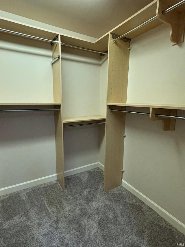 spacious closet with dark carpet