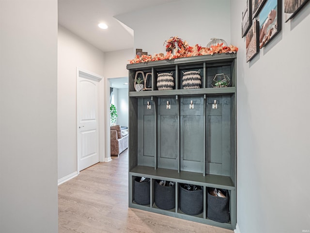 mudroom featuring wood-type flooring