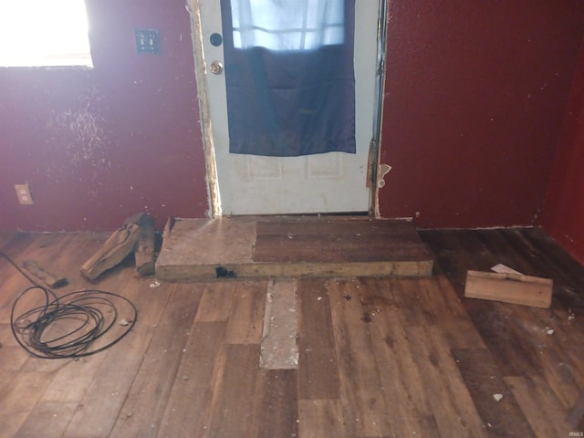 entryway featuring hardwood / wood-style floors