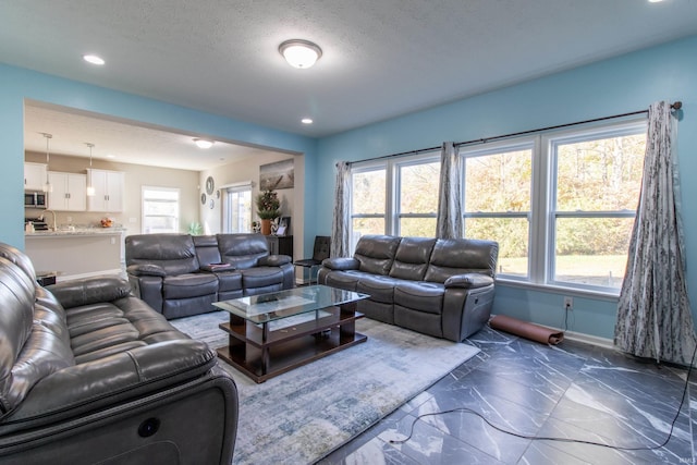 living room featuring a textured ceiling