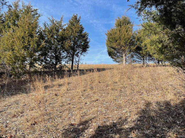 view of local wilderness with a rural view