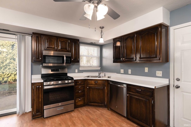 kitchen featuring appliances with stainless steel finishes, light hardwood / wood-style floors, sink, and dark brown cabinets