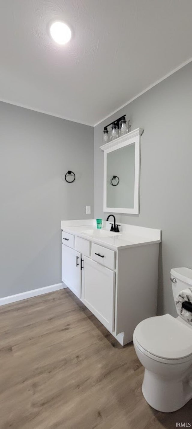 bathroom with vanity, wood-type flooring, and toilet