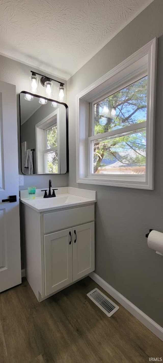 bathroom with vanity, a wealth of natural light, wood-type flooring, and a textured ceiling