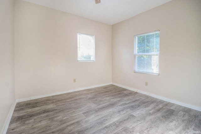 unfurnished room featuring ceiling fan and light wood-type flooring