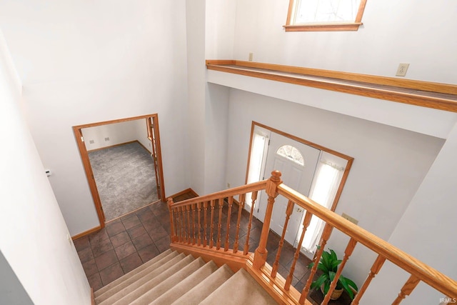 stairway with plenty of natural light and carpet flooring