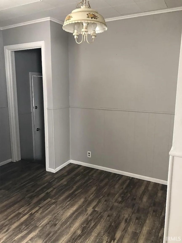 spare room featuring ornamental molding and dark hardwood / wood-style flooring