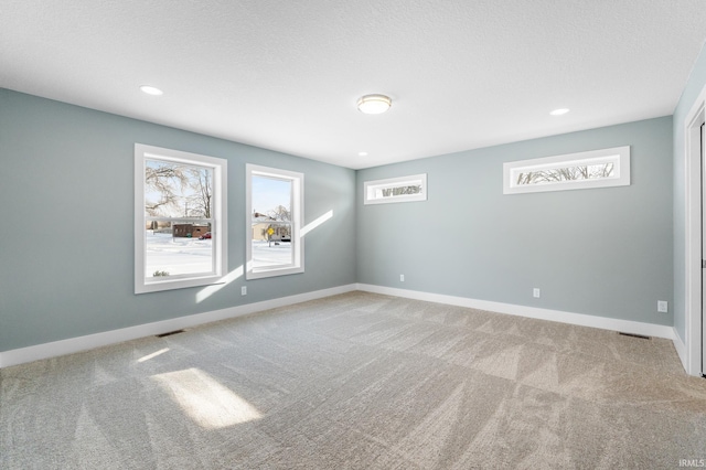 unfurnished room with a wealth of natural light, light colored carpet, and a textured ceiling