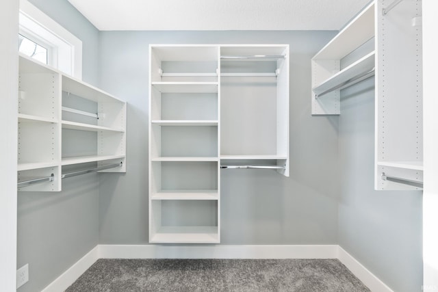 spacious closet with carpet floors