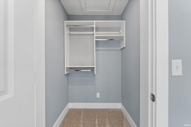 walk in closet with carpet